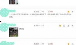 最新爆料附近,附近神秘项目最新进展，真相即将揭晓！”